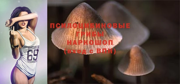 соль ск Слюдянка